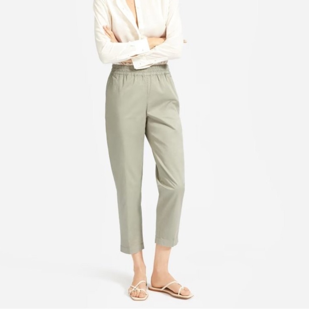 Everlane The Easy Chino